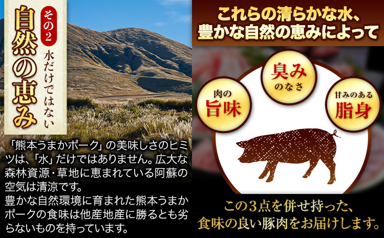 【12ヶ月定期便】豚肉 ミンチ 1.8kg 豚 小分け 訳あり 訳有 ひき肉 うまかポーク 傷 規格外 ぶた肉 ぶた 真空パック  簡易包装 冷凍 《お申込み月の翌月から出荷開始》