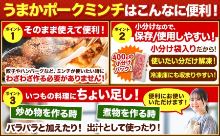 【6ヶ月定期便】豚肉 ミンチ 1.8kg 豚  小分け 訳あり 訳有 ひき肉 うまかポーク 傷 規格外 ぶた肉 ぶた 真空パック 数量限定 簡易包装 冷凍 《お申込み月の翌月から出荷開始》