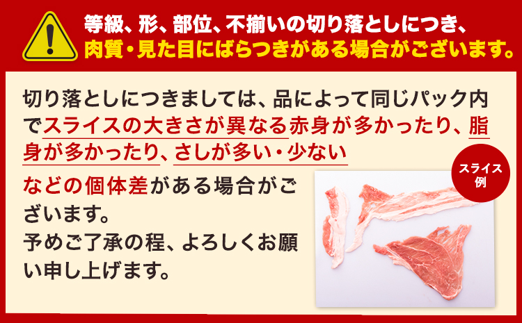 豚肉 切り落とし ＆ ミンチ ハーフセット  3セット 5.4kg 豚 細切れ こま切れ 豚こま 豚小間切れ 豚しゃぶ 小分け 訳あり 訳有 ひき肉 うまかポーク 傷 規格外 ぶた肉 ぶた 真空パック 数量限定 簡易包装 冷凍 《30営業日以内に出荷予定(土日祝除く)》