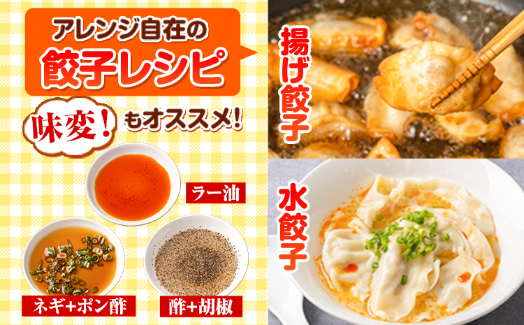 餃子 うまかポーク生餃子 60個 【12ヶ月定期便】タレ付き 大津町限定返礼品 冷凍餃子 ギョウザ《お申込み月の翌月から発送開始》大津町産豚肉使用 九州産キャベツ使用（大津町産含む）皮モチモチ 肉汁溢れる ぎょうざ （30個×2袋）