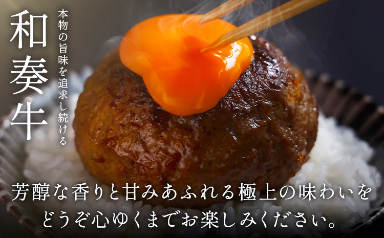 厳選くまもと黒毛和牛ハンバーグ 16個 (1個150g)《45日以内に出荷予定(土日祝除く)》熊本県 大津町 和牛焼肉LIEBE くまもと黒毛和牛 ハンバーグ 冷凍 リーベ