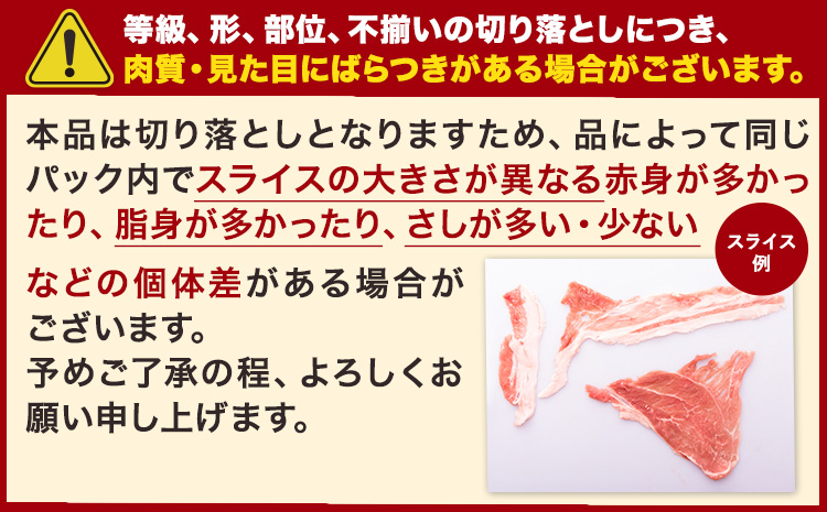 【3ヶ月定期便】 豚肉 切り落とし ＆ ミンチ ハーフセット 5.4kg 豚 細切れ こま切れ 豚こま 豚小間切れ 豚しゃぶ 小分け 訳あり 訳有 ひき肉 うまかポーク 傷 規格外 ぶた肉 ぶた 真空パック 数量限定 簡易包装 冷凍 《申し込み翌月から発送》