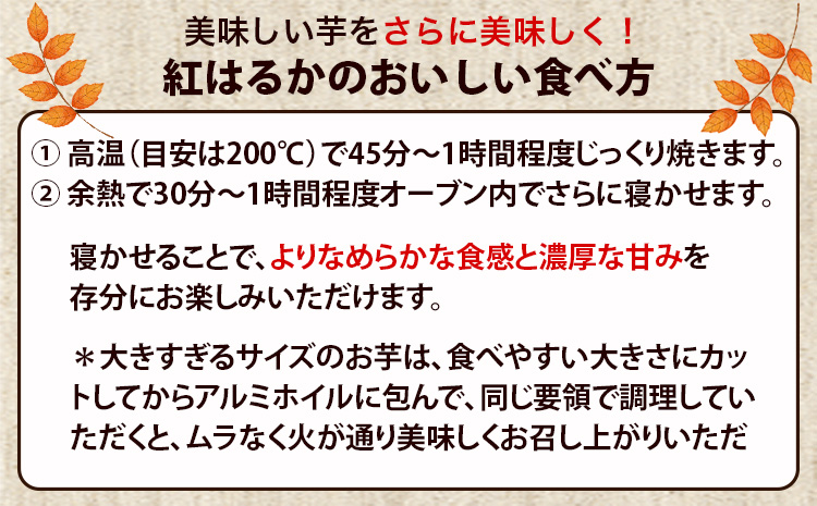熊本県 大津町産 タカハマ観光農園 の 紅はるか 約3kg 大中小ミックス《2026年1月上旬-6月末頃出荷》 さつまいも 芋 スイートポテト 干し芋にも