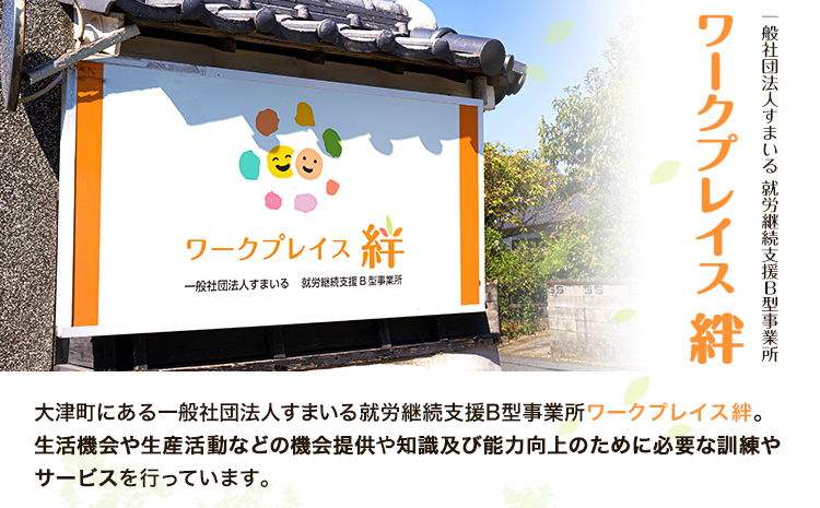 熊本県産 ブランド豚 えころとん使用 とにかく美味しいギフトセット 合計1400g以上 一般社団法人すまいる ワークプレイス絆 《90日以内に出荷予定(土日祝除く)》 味噌豚 とんかつ コロッケ えころとん ギフト 豚肉
