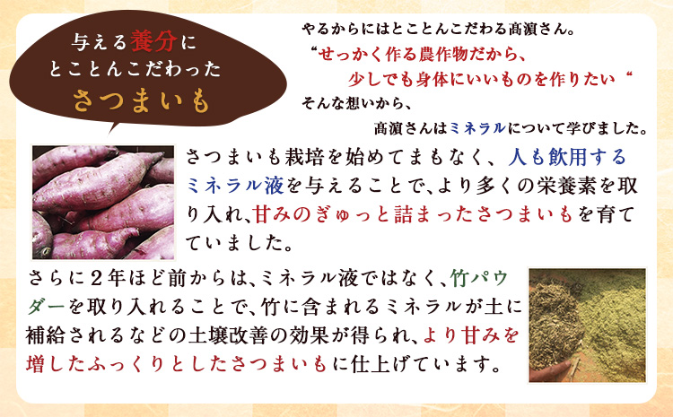 熊本県 大津町産 タカハマ観光農園 の 紅はるか 約3kg 大中小ミックス《12月中旬-4月末頃出荷》 さつまいも 芋 スイートポテト 干し芋にも