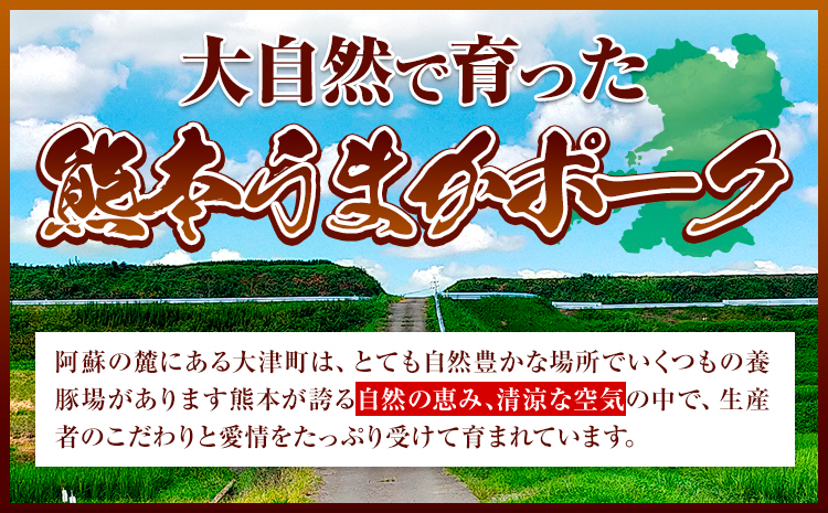 豚肉 小分け しゃぶしゃぶ 豚バラ 豚ロース 熊本 うまか ポーク スライス トレー 3kg《30日以内に発送予定(土日祝除く)》 お楽しみセット 豚しゃぶ 豚バラ肉 うまかポーク 3種 豚バラエティー セット 小分け スライス