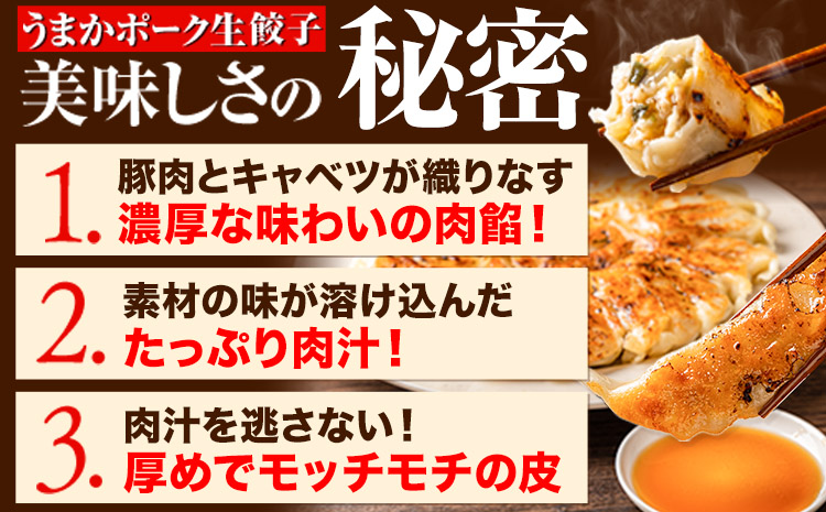 餃子 うまかポーク生餃子 60個 【12ヶ月定期便】タレ付き 大津町限定返礼品 冷凍餃子 ギョウザ《お申込み月の翌月から発送開始》大津町産豚肉使用 九州産キャベツ使用（大津町産含む）皮モチモチ 肉汁溢れる ぎょうざ （30個×2袋）