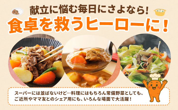 人参 訳あり にんじん ニンジン キャロット 5kg《12月中旬-3月上旬頃出荷》熊本県 大津町 人参 送料無料 にんじん キャロット 熊本県産 にんじん