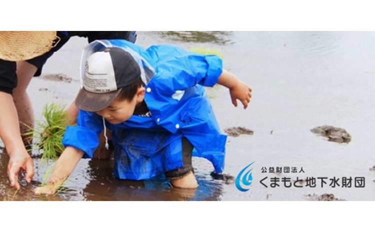 い・ろ・は・す（いろはす）阿蘇の天然水 2L 計12本 2L×6本×2ケース 水 軟水 ナチュラルミネラルウォーター  阿蘇 送料無料《7-14営業日以内に出荷予定(土日祝除く)》