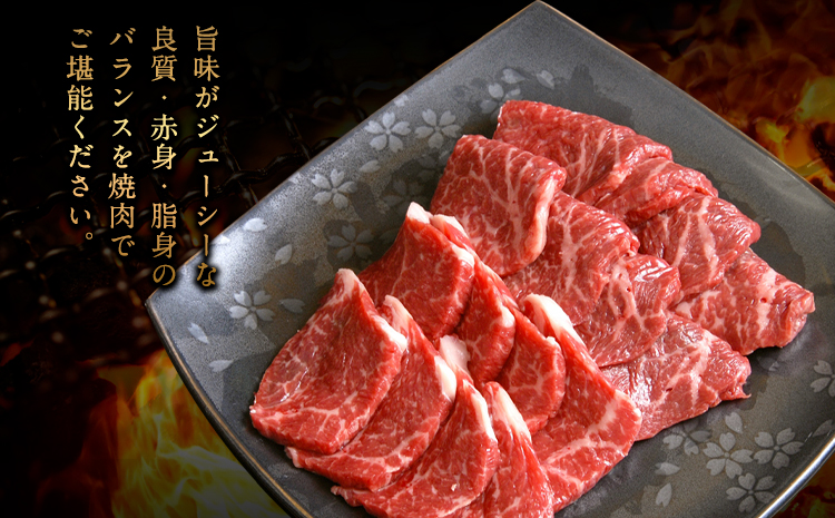 牛肉 くまもと黒毛和牛 焼肉用 1000g 株式会社KAM Brewing《30日以内に出荷予定(土日祝除く)》