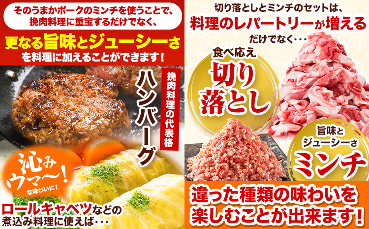【6ヶ月定期便】豚肉 切り落とし ＆ ミンチ ハーフセット 7.2kg 豚 細切れ こま切れ 豚こま 豚小間切れ 豚しゃぶ 小分け 訳あり 訳有 ひき肉 うまかポーク 傷 規格外 ぶた肉 ぶた 真空パック  簡易包装 冷凍 《お申込み月の翌月から出荷開始》