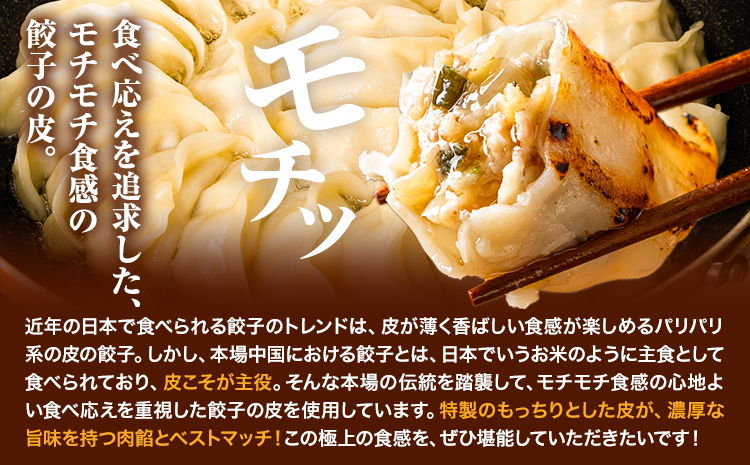 餃子 うまかポーク生餃子 60個 【12ヶ月定期便】タレ付き 大津町限定返礼品 冷凍餃子 ギョウザ《お申込み月の翌月から発送開始》大津町産豚肉使用 九州産キャベツ使用（大津町産含む）皮モチモチ 肉汁溢れる ぎょうざ （30個×2袋）