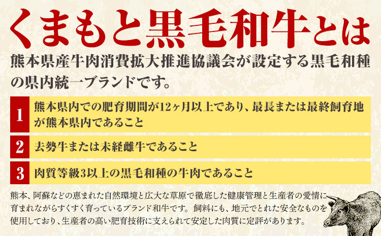 【A4〜A5】くまもと黒毛和牛 焼肉切り落とし 約1kg(500g×2p) 《30日以内に出荷予定(土日祝除く)》熊本県 大津町 黒毛和牛 肉 お肉 和牛 牛 牛肉 A5 A4 焼肉 切り落とし MEAT PLUS
