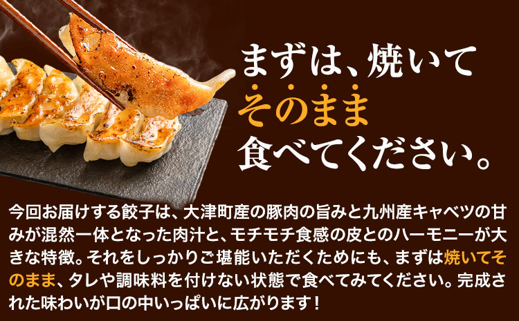 餃子 うまかポーク生餃子 150個【12ヶ月定期便】 タレ付き 大津町限定返礼品 冷凍餃子 ギョウザ《お申込み月の翌月から出荷開始》大津町産豚肉使用 九州産キャベツ使用（大津町産含む）皮モチモチ 肉汁溢れる ぎょうざ（30個×5袋）