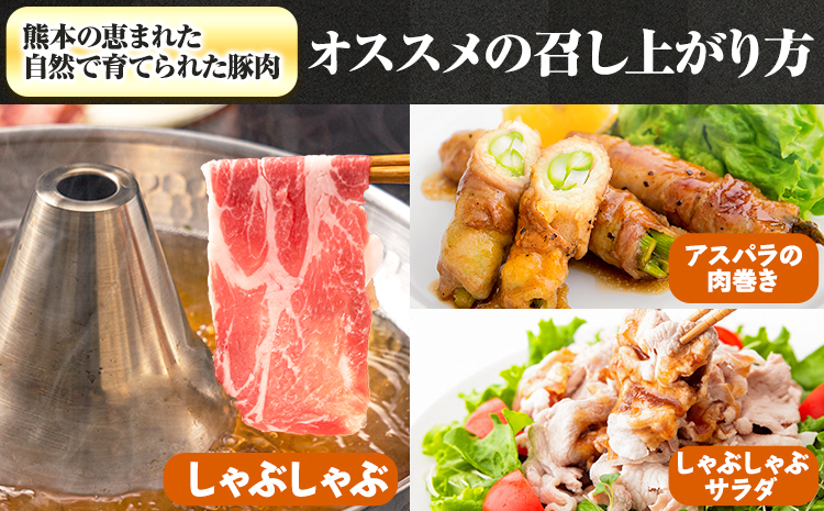 豚 肉 小分け しゃぶ しゃぶ 3種 熊本 うまか ポーク スライス 1.5kg 熊本県産 冷凍 豚 豚肉 個別 個別包装 取分け 豚しゃぶ ぶたしゃぶ ロース バラ 肩ロース 鍋 トレー《30日以内に出荷予定(土日祝除く)》