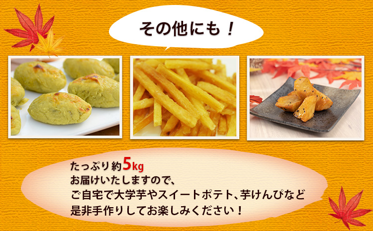 熊本県 大津町産 タカハマ観光農園 の 紅はるか 約3kg 大中小ミックス《2026年1月上旬-6月末頃出荷》 さつまいも 芋 スイートポテト 干し芋にも