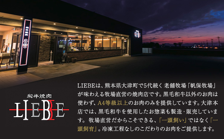 A5 A4 ランク 厳選 黒毛和牛 焼肉 2種盛り 600g《30日以内に出荷予定(土日祝除く)》熊本県 大津町 和牛焼肉LIEBE ステーキ 冷蔵 リーベ
