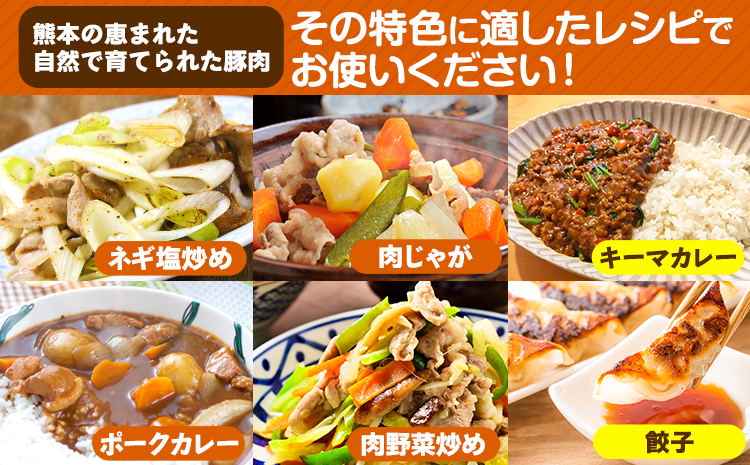 【12ヶ月定期便】豚肉 切り落とし ＆ ミンチ ハーフセット 1.8kg 豚 細切れ こま切れ 豚こま 豚小間切れ 豚しゃぶ 小分け 訳あり 訳有 ひき肉 うまかポーク 傷 規格外 ぶた肉 ぶた 真空パック  簡易包装 冷凍 《お申込み月の翌月から出荷開始》