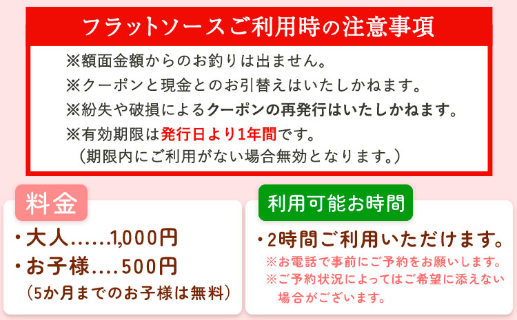 施設利用券 5000円分 チケット (500円チケット×10枚) こどもとおもちゃのフラットソース《30日以内に出荷予定(土日祝除く)》熊本県大津町 赤ちゃん こども おもちゃ パパ ママ グッドトイ チケット 施設利用券 保育士 おもちゃインストラクター