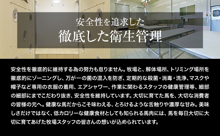 【3ヶ月定期便】赤身馬刺し 1kg【純国産熊本肥育】生食用 冷凍《お申込み月の翌月から出荷開始》送料無料 熊本県 大津町 馬刺し 赤身馬刺し 赤身 定期便