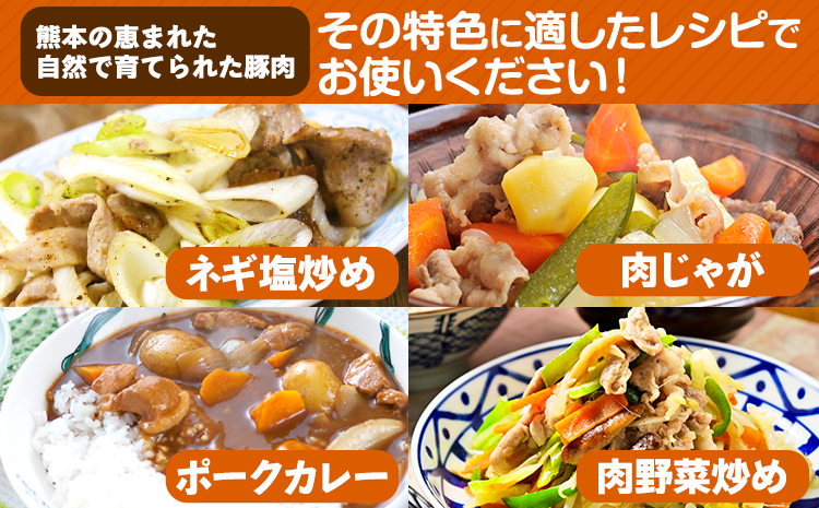 【6ヶ月定期便】豚肉 切り落とし 切り落とし 2セット 3.6kg 豚 細切れ こま切れ 豚こま 豚小間切れ 豚しゃぶ 小分け 訳あり 訳有 うまかポーク 傷 規格外 ぶた肉 ぶた 真空パック  簡易包装 冷凍 定期便 《申し込み翌月から発送》