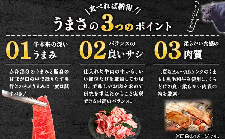 牛肉 A4～A5等級 黒毛和牛 切り落とし くまもと黒毛和牛 切り落とし 1kg 《30日以内に出荷予定(土日祝除く)》 牛肉 くまもと黒毛和牛 冷凍 Esprit