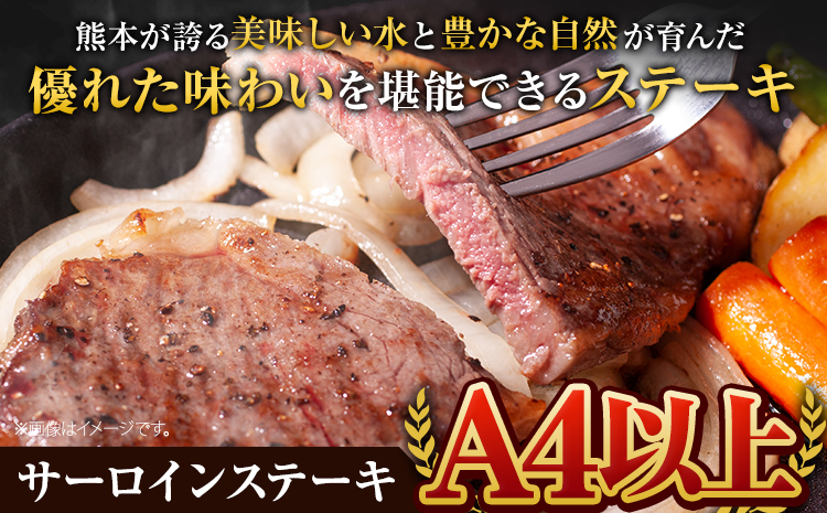 くまもと黒毛和牛 サーロインステーキ 250g ( 250g x 1枚 ) 牛肉 冷凍 《30日以内に出荷予定(土日祝除く)》 くまもと黒毛和牛 黒毛和牛 冷凍庫 個別 取分け 小分け 個包装 ステーキ肉 にも サーロインステーキ