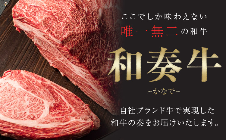 A5 A4 ランク 厳選 黒毛和牛 焼肉 2種盛り 600g《30日以内に出荷予定(土日祝除く)》熊本県 大津町 和牛焼肉LIEBE ステーキ 冷蔵 リーベ