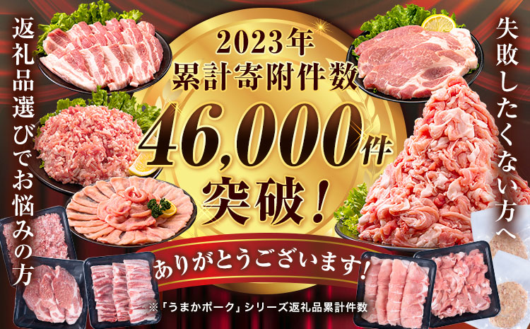 数量限定★生産者応援★ 豚肉 小分け バラエティ セット うまか ポーク しゃぶしゃぶ 切り落とし 豚ロース バラ 豚バラ 豚バラ肉 スライス 計 9.5kg 4.6kg × 2セット ＋ 300g 9kg 以上 真空 お楽しみセット 不揃い 数量限定 簡易包装 冷凍配送 《30日以内に出荷予定(土日祝除く)》