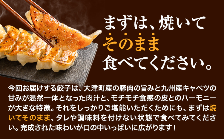 餃子 うまかポーク生餃子 60個 【12ヶ月定期便】タレ付き 大津町限定返礼品 冷凍餃子 ギョウザ《お申込み月の翌月から発送開始》大津町産豚肉使用 九州産キャベツ使用（大津町産含む）皮モチモチ 肉汁溢れる ぎょうざ （30個×2袋）