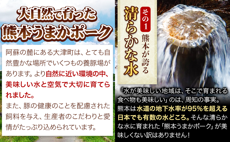 【6ヶ月定期便】豚肉 ミンチ 5.4kg 豚  小分け 訳あり 訳有 ひき肉 うまかポーク 傷 規格外 ぶた肉 ぶた 真空パック 数量限定 簡易包装 冷凍 《お申込み月の翌月から出荷開始》