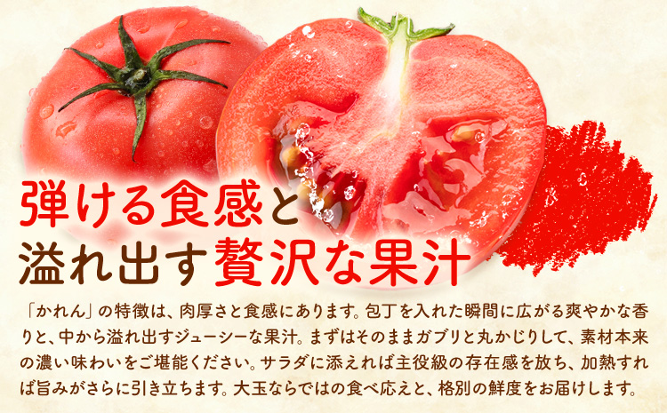 ã倧接ã¢ã°ãªã©ãã倧çããã ããã çŽ1kg æ ªåŒäŒç€Ÿäžä¹å·ã¯ãã¿ã10æäžæ¬-6æäžæ¬é åºè·ãçæ¬ç å€§æŽ¥çº ããã 倧ç éè