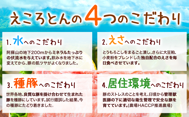熊本県産 ブランド豚 えころとん使用 とにかく美味しいギフトセット 合計1400g以上 一般社団法人すまいる ワークプレイス絆 《90日以内に出荷予定(土日祝除く)》 味噌豚 とんかつ コロッケ えころとん ギフト 豚肉
