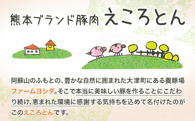 熊本県産 ブランド豚 えころとん使用 とにかく美味しいギフトセット 合計1400g以上 一般社団法人すまいる ワークプレイス絆 《90日以内に出荷予定(土日祝除く)》 味噌豚 とんかつ コロッケ えころとん ギフト 豚肉