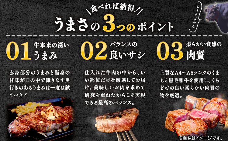 【A4～A5】くまもと黒毛和牛 サーロインステーキ  1kg 《30日以内に出荷予定(土日祝除く)》 牛肉 くまもと黒毛和牛 黒毛和牛 冷凍庫 サーロイン ステーキ Esprit