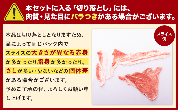 数量限定★生産者応援★ 豚肉 小分け バラエティ セット うまか ポーク しゃぶしゃぶ 切り落とし 豚ロース バラ 豚バラ 豚バラ肉 スライス 計 9.5kg 4.6kg × 2セット ＋ 300g 9kg 以上 真空 お楽しみセット 不揃い 数量限定 簡易包装 冷凍配送 《30日以内に出荷予定(土日祝除く)》