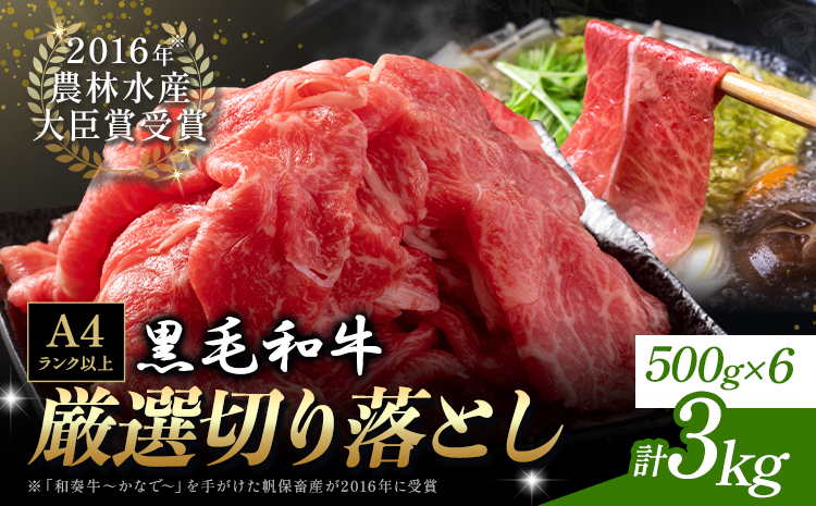 厳選 くまもと黒毛和牛 切り落とし 3kg ( 1パック 500g ) 《30日以内に出荷予定(土日祝除く)》熊本県 大津町 和牛焼肉LIEBE くまもと黒毛和牛 切り落とし 冷凍 リーベ