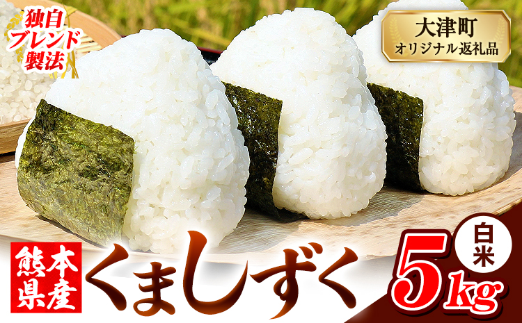 白米 熊本県産 ブレンド米 くましずく 5kg 熊本県産 ふるさと納税 白米 精米 米 こめ ふるさとのうぜい コメ お米 おこめ《7-14日以内に出荷予定(土日祝除く)》