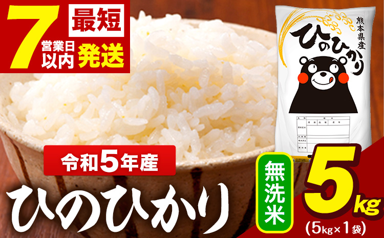 令和5年産 ひのひかり 無洗米 5kg 《7-14営業日以内に出荷予定(土日祝除く)》5kg×1袋米 米 ひの  大津町