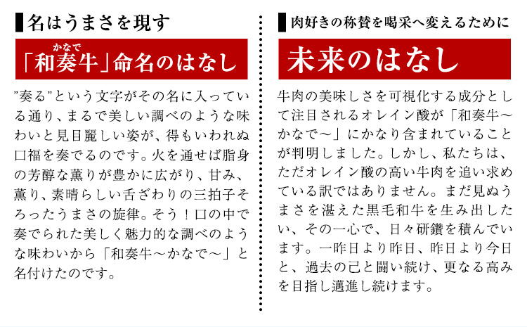 厳選 くまもと黒毛和牛 焼肉用食べ比べ4種 500g《30日以内に出荷予定(土日祝除く)》熊本県 大津町 和牛焼肉LIEBE くまもと黒毛和牛 厳選部位 上ロース ハラミ サガリ シンシン 冷蔵 リーベ