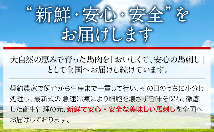 馬刺し 上赤身馬刺し 約600g 株式会社KAM Brewing《30日以内に出荷予定(土日祝除く)》 馬刺し 馬肉 熊本県 大津市 肉 赤身 上赤身 醤油付き 国産