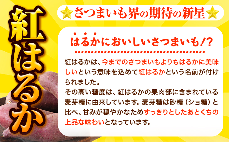 カリッカリ 紅はるかの芋けんぴ 500g (250g×2) 熊本県大津町産 無添加《30日以内に出荷予定(土日祝除く)》薩摩芋 さつまいも サツマイモ イモケンピ 保存料・着色料 不使用 メール便