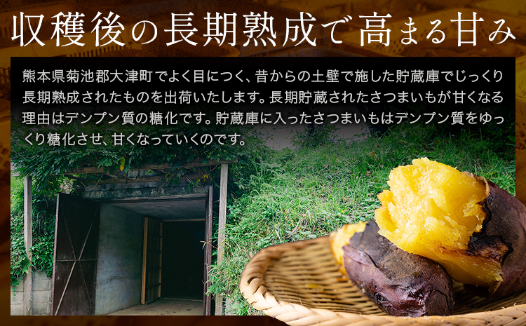 çæ¬ç倧接çºç£ äžç¡ç°èŸ²åã®çŽ
ã¯ãã çŽ1.5kg (倧äžå°ãµã€ãºäžæã) çæ¬çå€§æŽ¥çº ã12æäžæ¬-1æäžæ¬é åºè·äºå®ã ãã€ãŸãã è ã¹ã€ãŒãããã å¹²ãèã«ã åç£å° ç¹ç£å ç§ æ¬