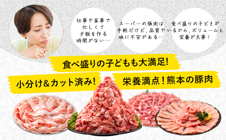 豚肉 うまか ポーク バラエティ セット 4.6kg 豚肉 しゃぶしゃぶ 切り落とし 豚ロース バラ 豚バラ スライス 以上 定期便 真空 不揃い 数量限定 簡易包装 冷凍配送 小分け 《7-14日以内に出荷予定(土日祝除く)》