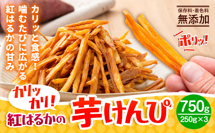 カリッカリ 紅はるかの芋けんぴ 750g 1袋250g 熊本県大津町産 無添加《30日以内に出荷予定(土日祝を除く)》薩摩芋 さつまいも サツマイモ イモケンピ 保存料・着色料 不使用 小分け