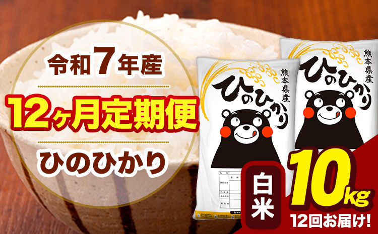 令和7年産 【12ヶ月定期便】 白米 米 ひのひかり 10kg《お申込み翌月から出荷》熊本県 大津町 国産 熊本県産 白米 送料無料 ヒノヒカリ こめ お米