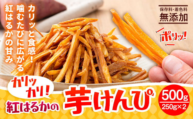 カリッカリ 紅はるかの芋けんぴ 500g (250g×2) 熊本県大津町産 無添加《30日以内に出荷予定(土日祝除く)》薩摩芋 さつまいも サツマイモ イモケンピ 保存料・着色料 不使用