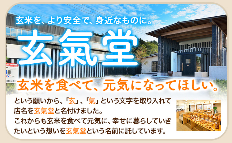 玄米80食パン4斤セット 玄氣堂《60日以内に出荷予定(土日祝除く)》 熊本県 菊池郡 大津町 食パン パン 玄米 玄米パン 冷凍便