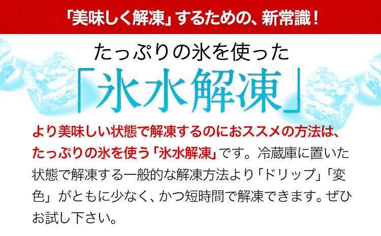 馬刺し 上赤身 ブロック 国産 熊本肥育 冷凍 生食用 たれ付き(10ml×15袋) 100g×15セット 肉 期間限定 絶品 牛肉よりヘルシー 熊本県大津町《10月中旬-12月末頃出荷》