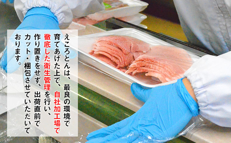えころとん・豚肉4種(計1050g)　ゆずたましゃぶセット 熊本県産 有限会社ファームヨシダ　《60日以内に出荷予定(土日祝除く)》
